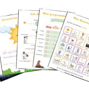 Affiches du Programme